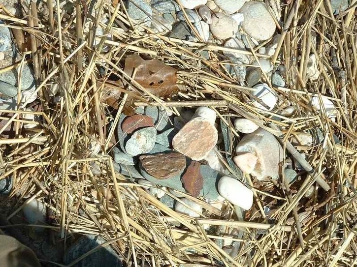 Image-0CAF5A02D83811DA