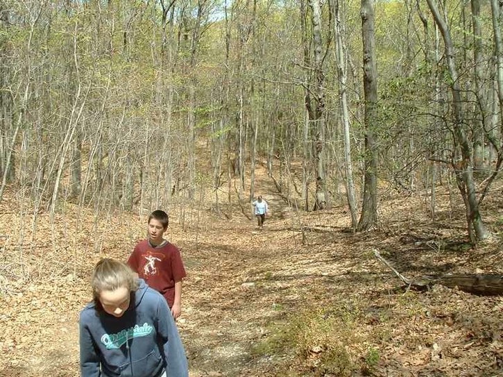 Image-0CB26D95D83811DA