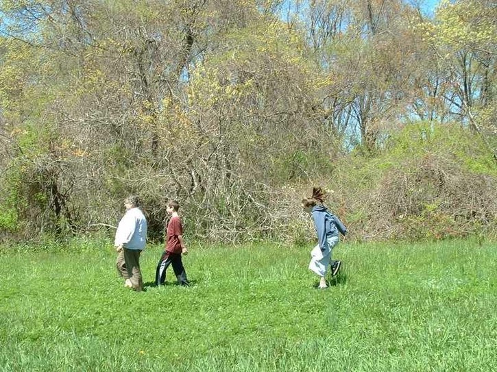 Image-0CB2C734D83811DA